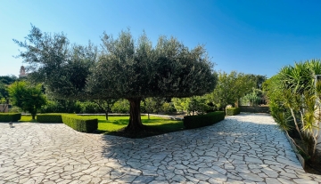 garden 4.jpg